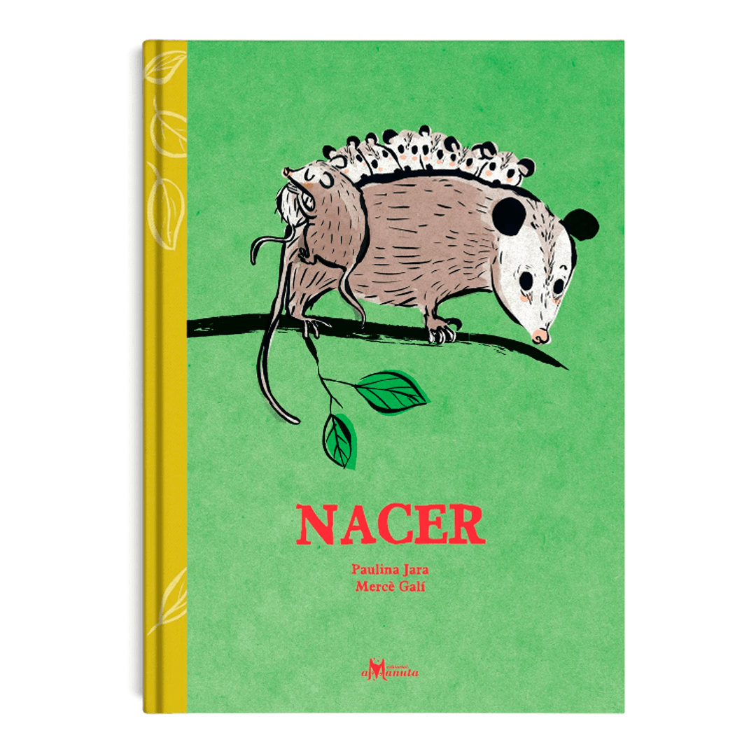 Nacer1