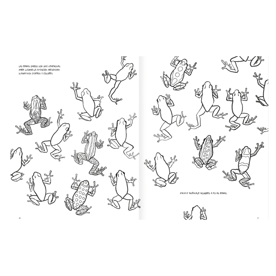 Anfibios y reptiles, bitácora para imaginar2
