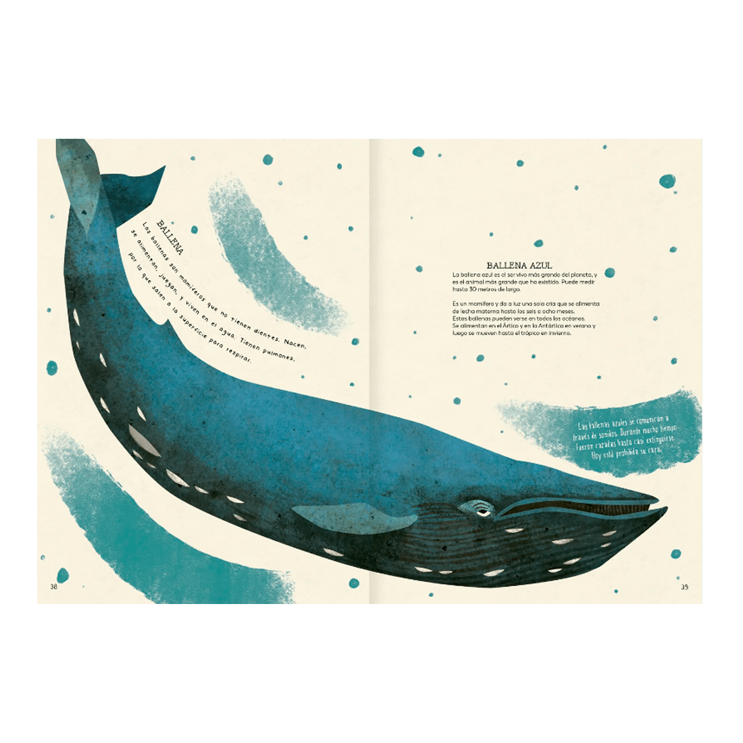 Explora tu mundo natural2