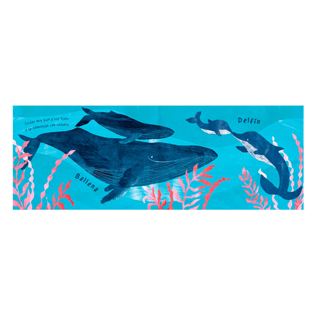 Mar animal2