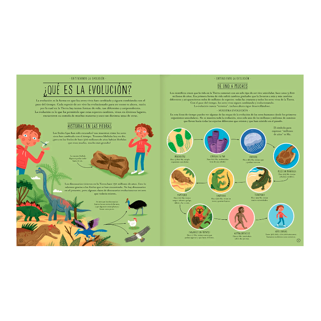 Increíble evolución2