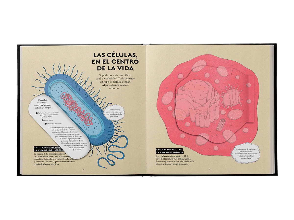 Vida4