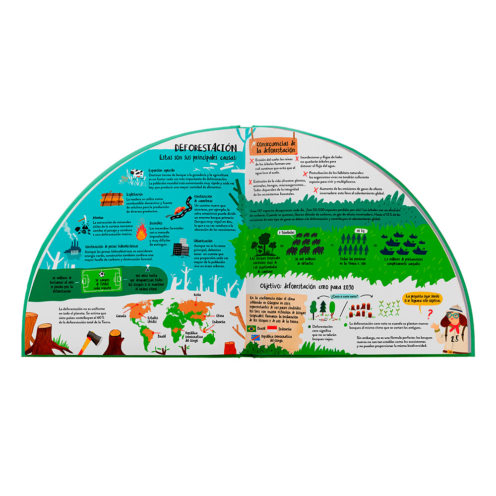 Explora los bosques en 360º4