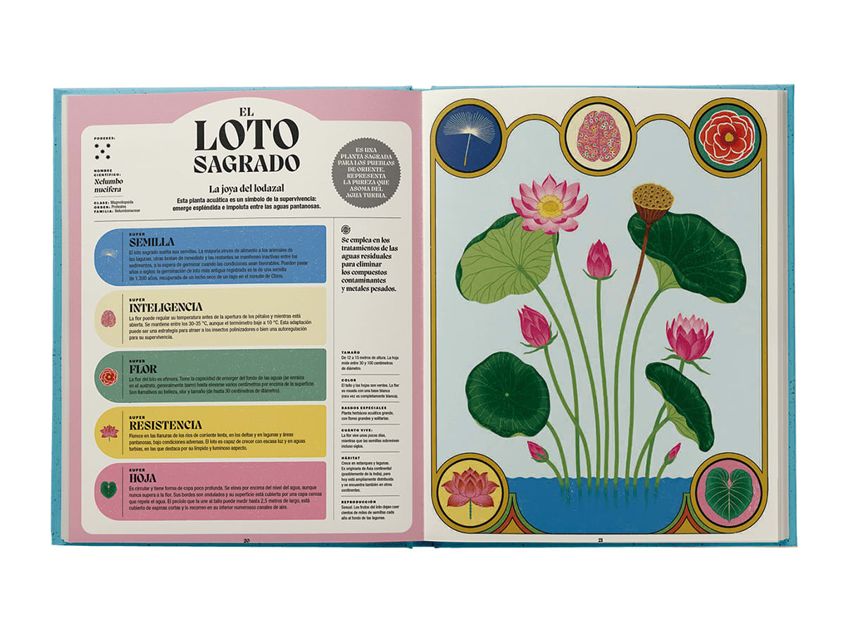 Superpoderes de las plantas4