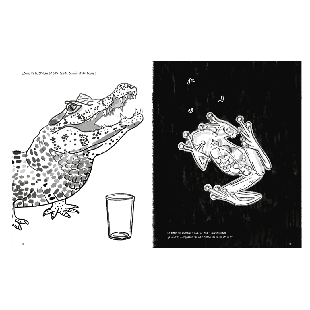 Anfibios y reptiles, bitácora para imaginar3