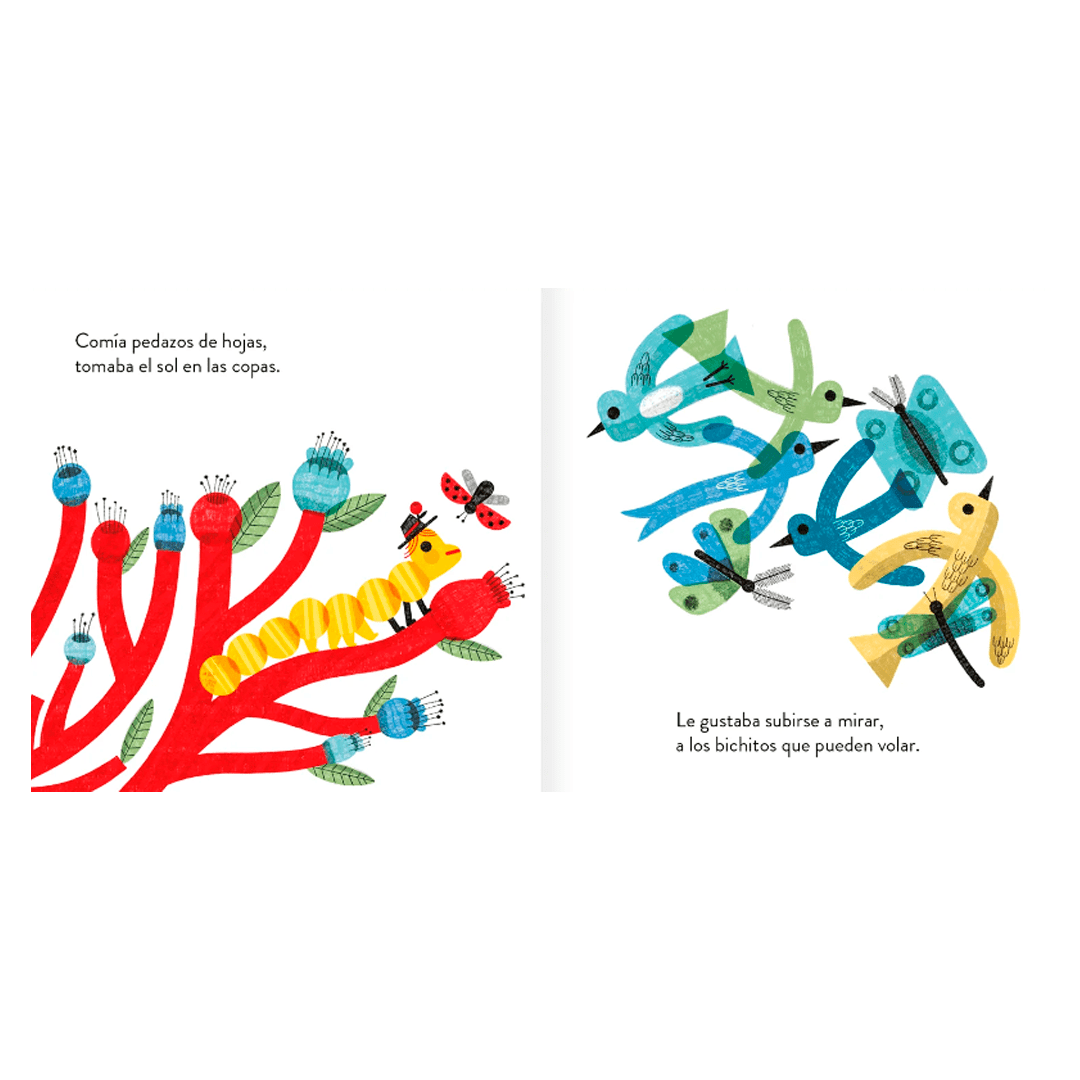 Una cuncuna amarilla3