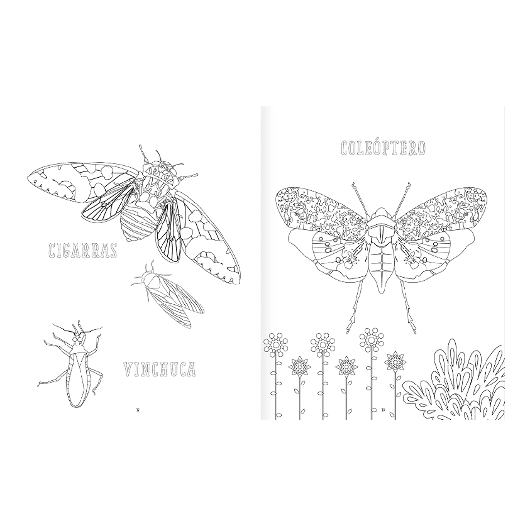 Insectopinta3