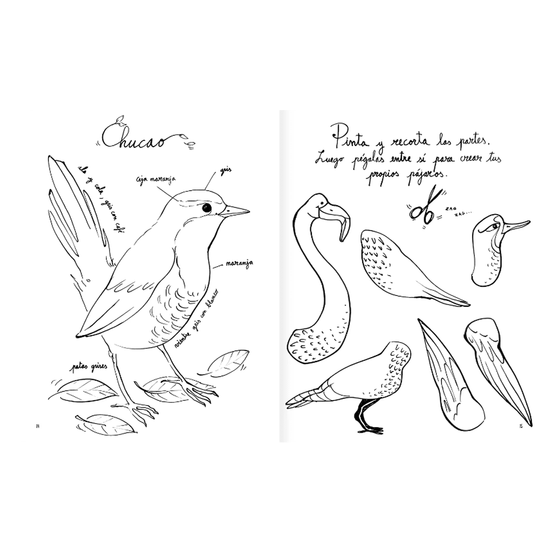 Pintapajaros3