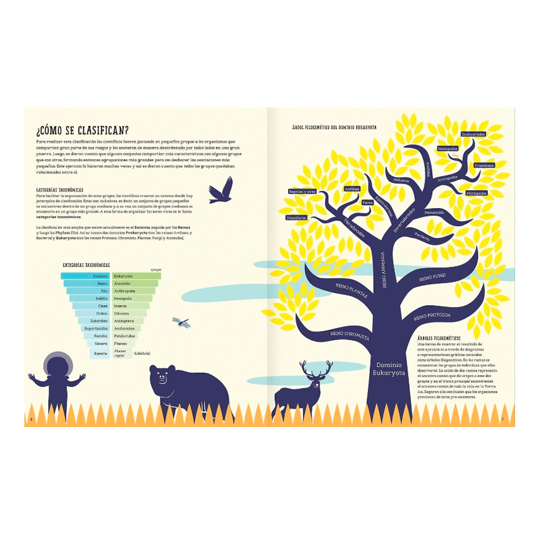 Insectopedia3