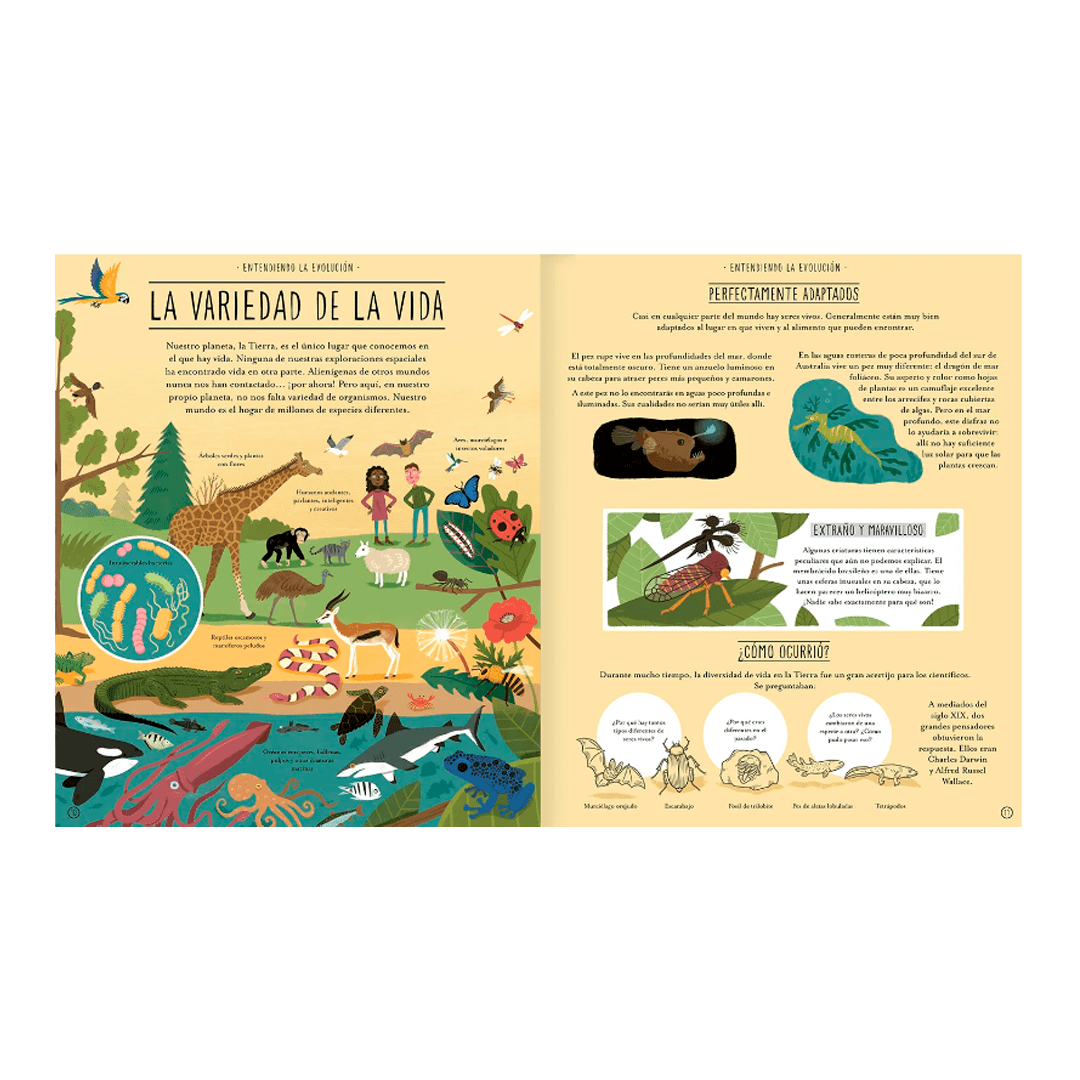 Increíble evolución3