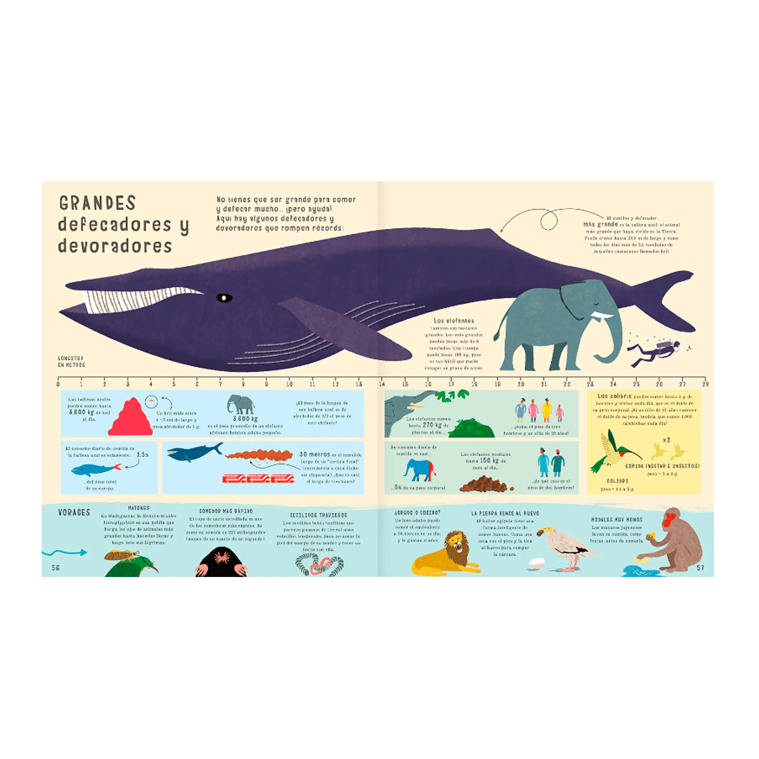 El libro de las comparaciones3