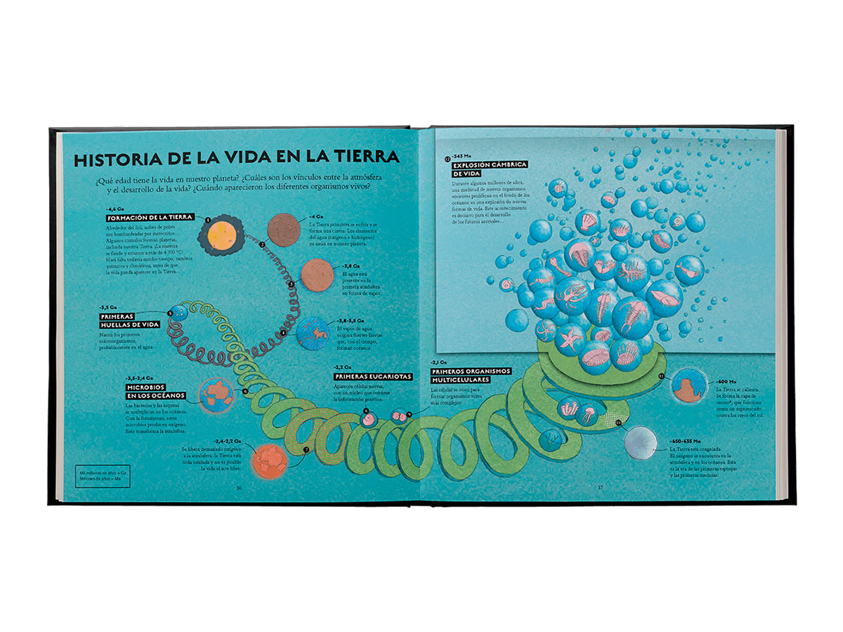 Vida5