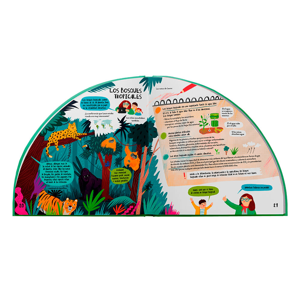 Explora los bosques en 360º5