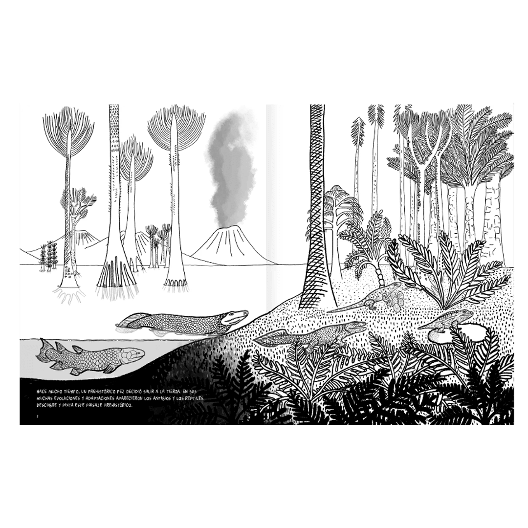 Anfibios y reptiles, bitácora para imaginar4