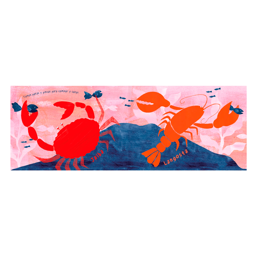 Mar animal4