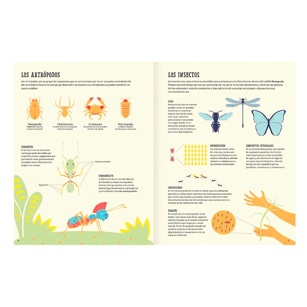 Insectopedia4
