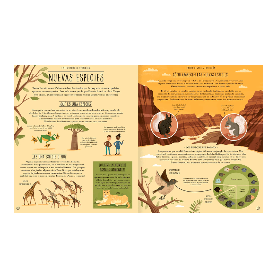 Increíble evolución4