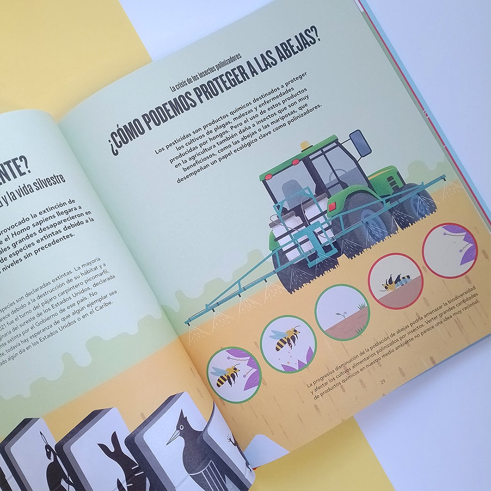 Atrévete a preguntar6