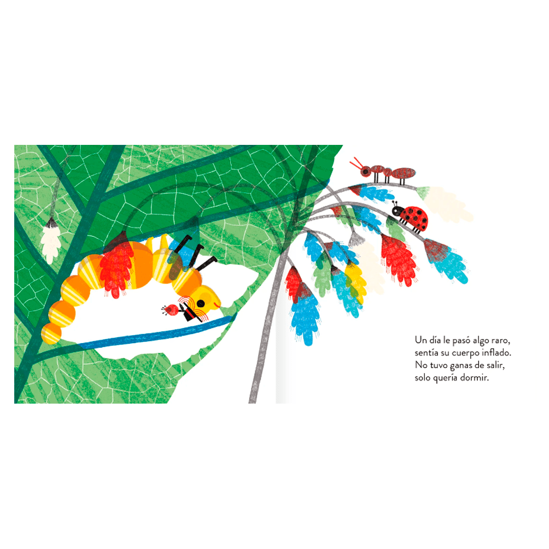 Una cuncuna amarilla5