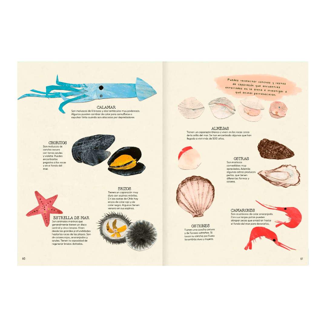 Explora tu mundo natural5