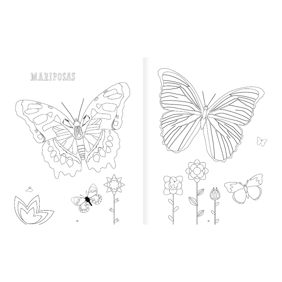 Insectopinta5