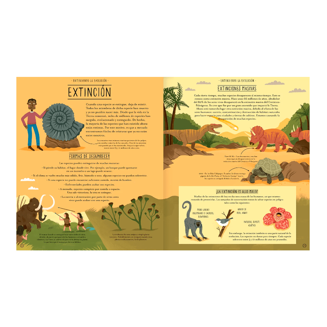 Increíble evolución5