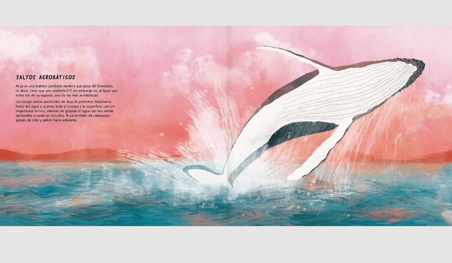 Arya la ballena viajera3