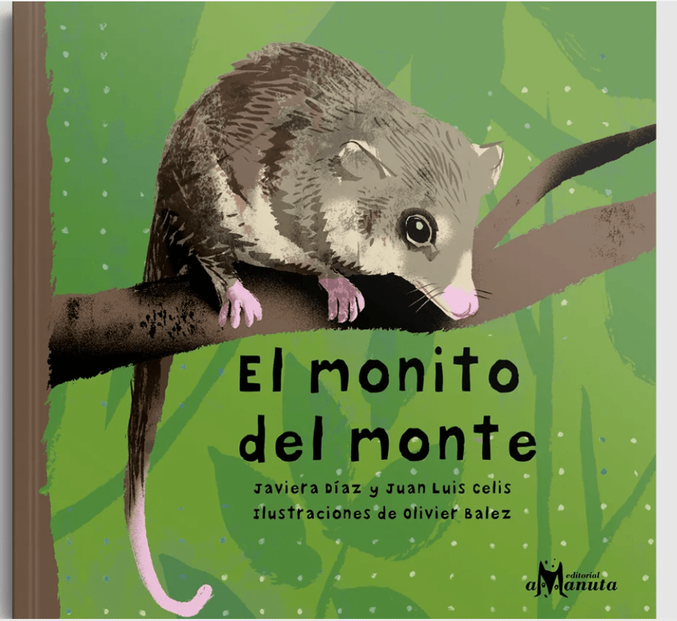 El monito del monte1