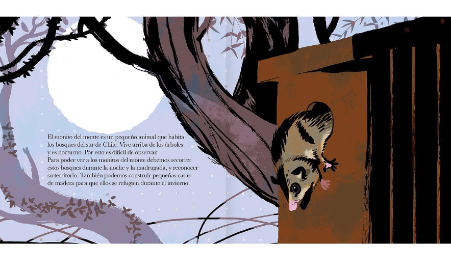 El monito del monte2