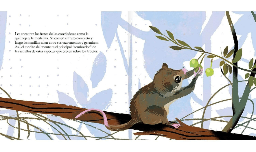 El monito del monte4