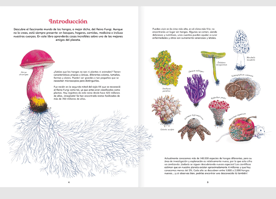 Reino fungi2
