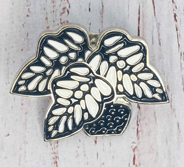 PIN BEGONIA WILD2