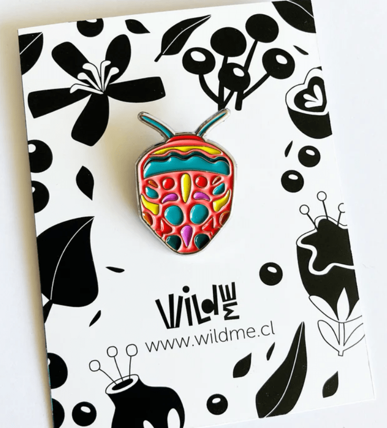 PIN BICHITO MULTICOLOR2