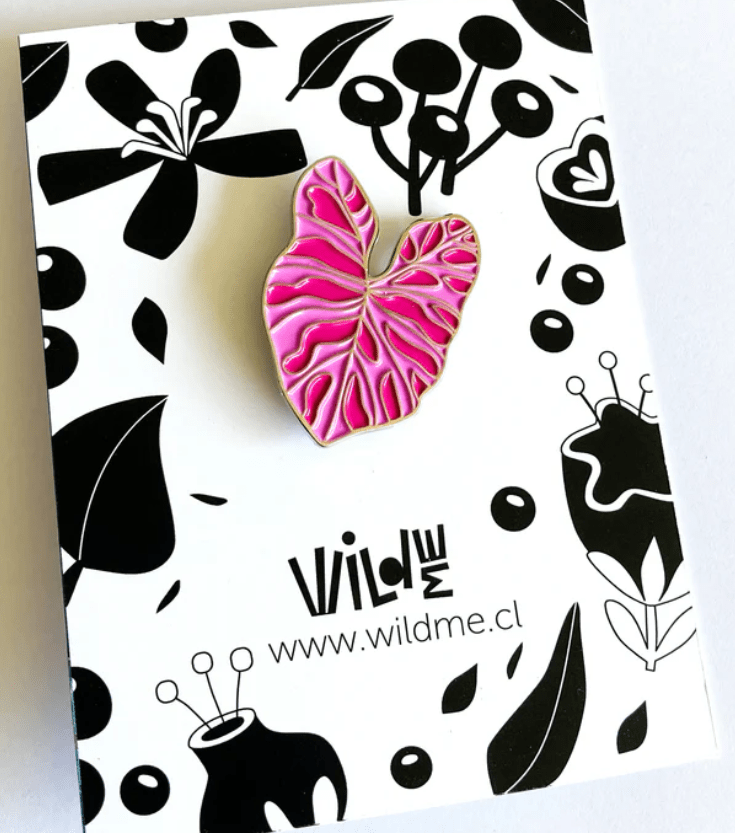 PIN CALADIUM ROSADA2