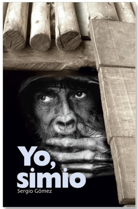 Yo, simio1