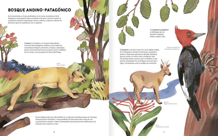 Patagonia. Olaya Sanfuentes, Luisa Rivera2