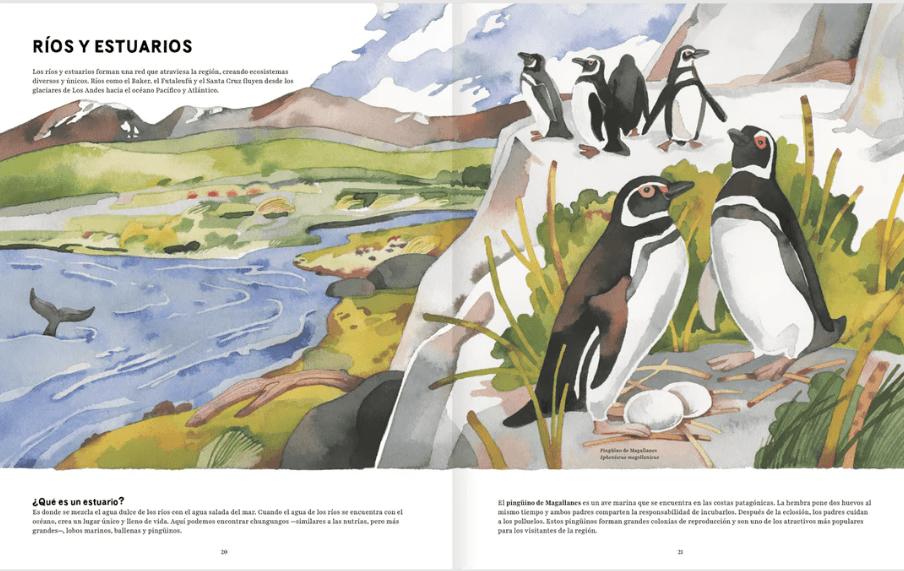 Patagonia. Olaya Sanfuentes, Luisa Rivera3