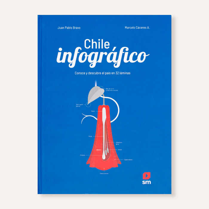 Chile infográfico1