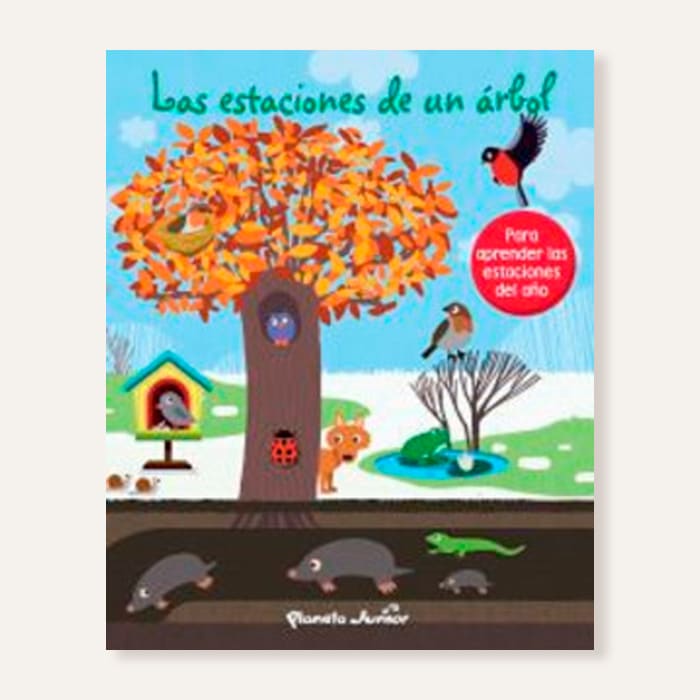 Las estaciones de un árbol1