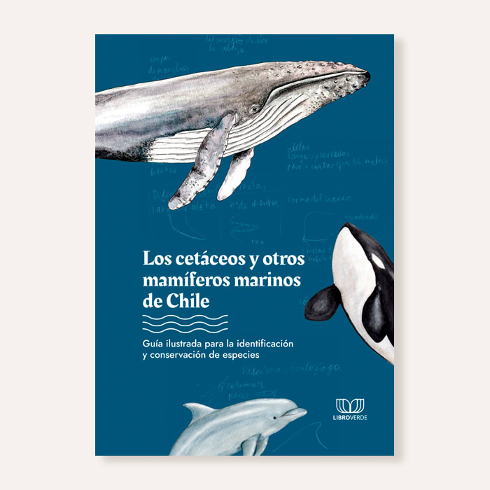 Los cetáceos y otros mamíferos marinos de chile1