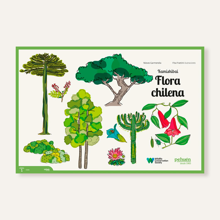 Kamishibai flora chilena1