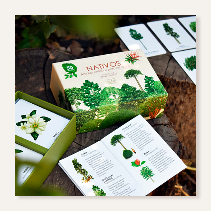 Nativos. Árboles chilenos para recordar1