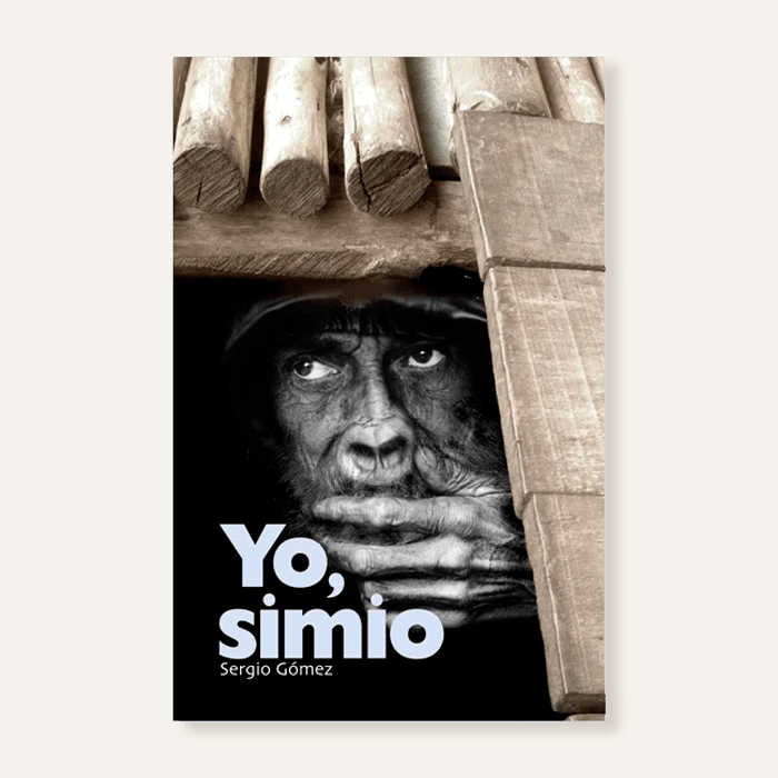 Yo, simio2