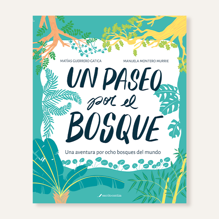 Un paseo por el bosque1