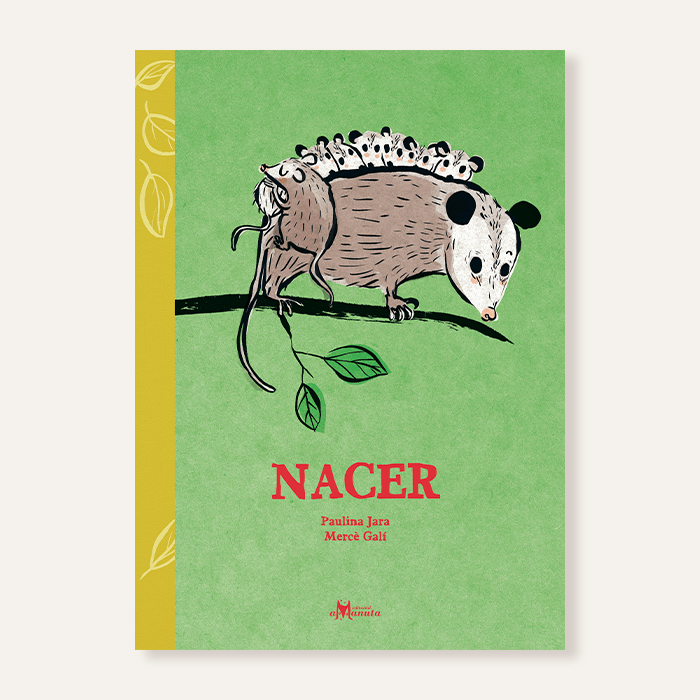 Nacer6
