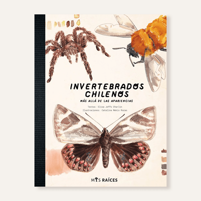 Invertebrados chilenos1