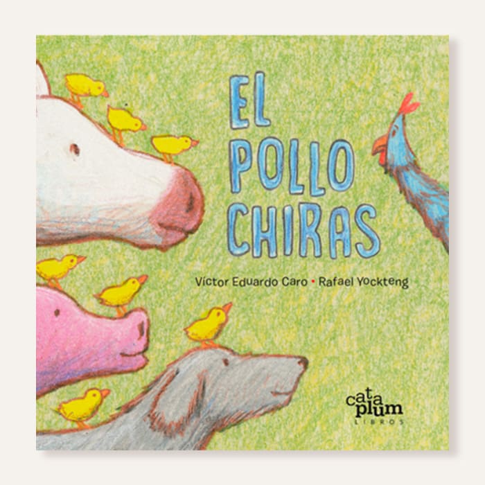 El pollo Chiras1