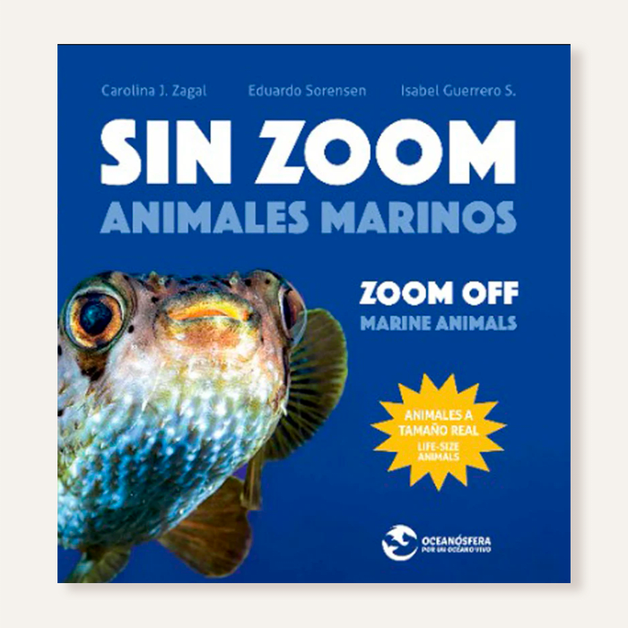 Sin zoom1