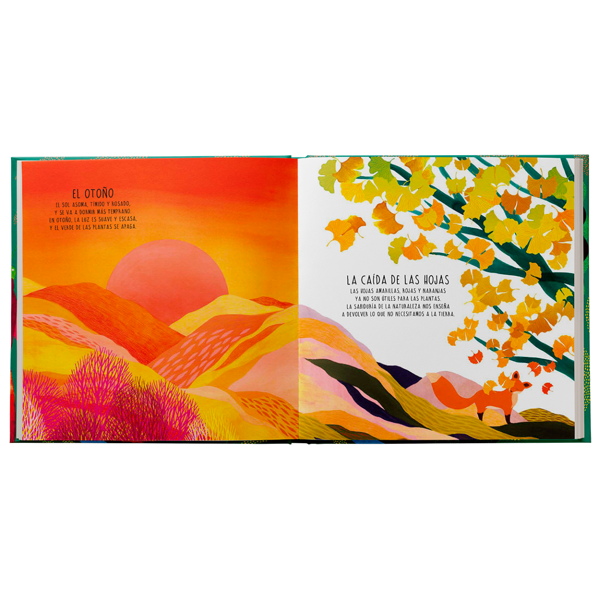 El aleteo de la mariposa4