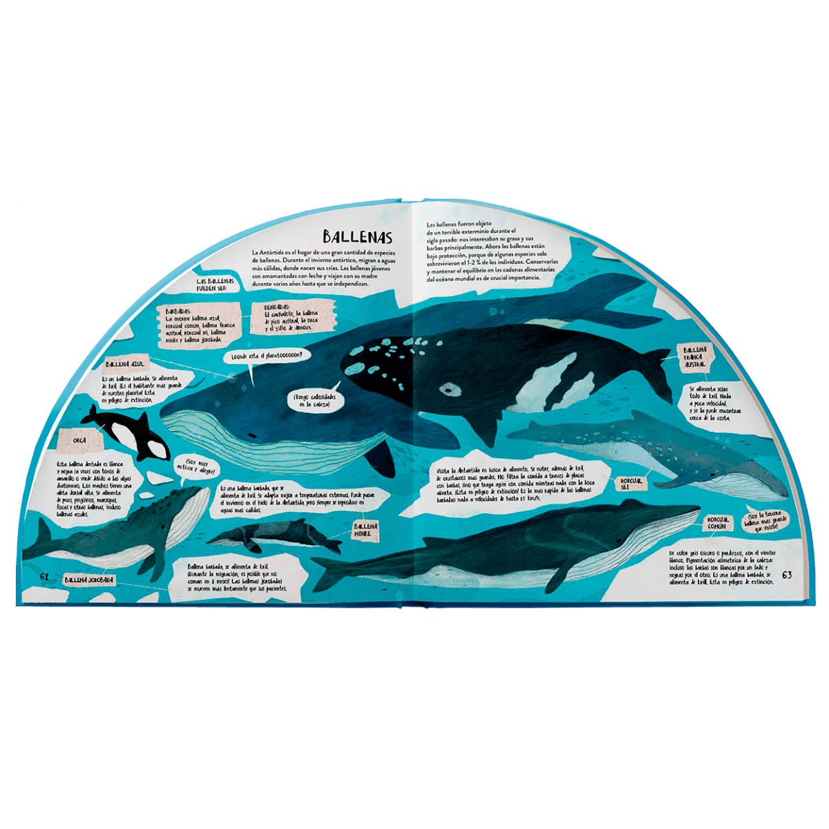 Explora la antartida en 3606